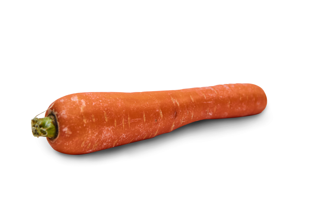 carrot06 copy