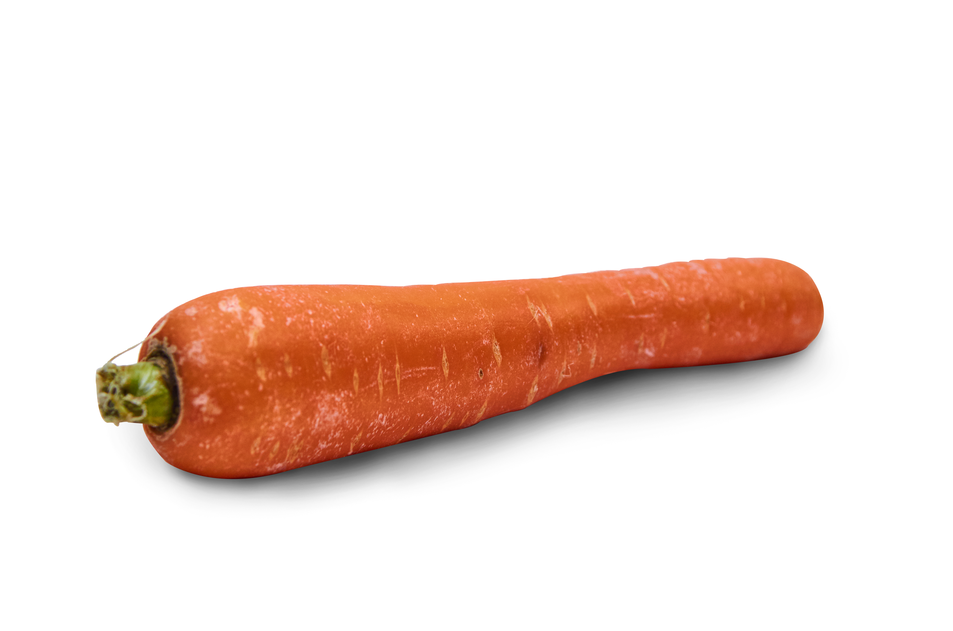 carrot06 copy
